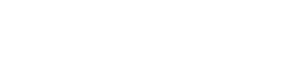 logo zero limits agency